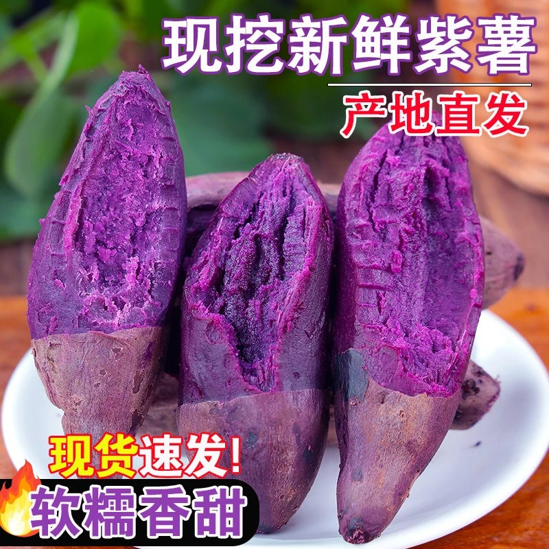 沙地新鲜紫薯现挖农家自种番薯软糯香甜3斤/5斤9斤宝辅食粗食早餐