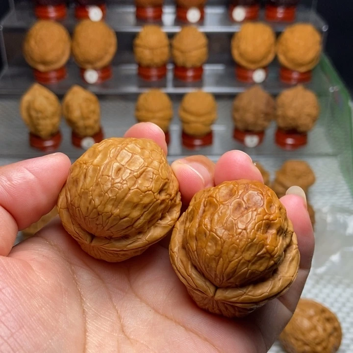 文玩核桃把件金龟玉甲25