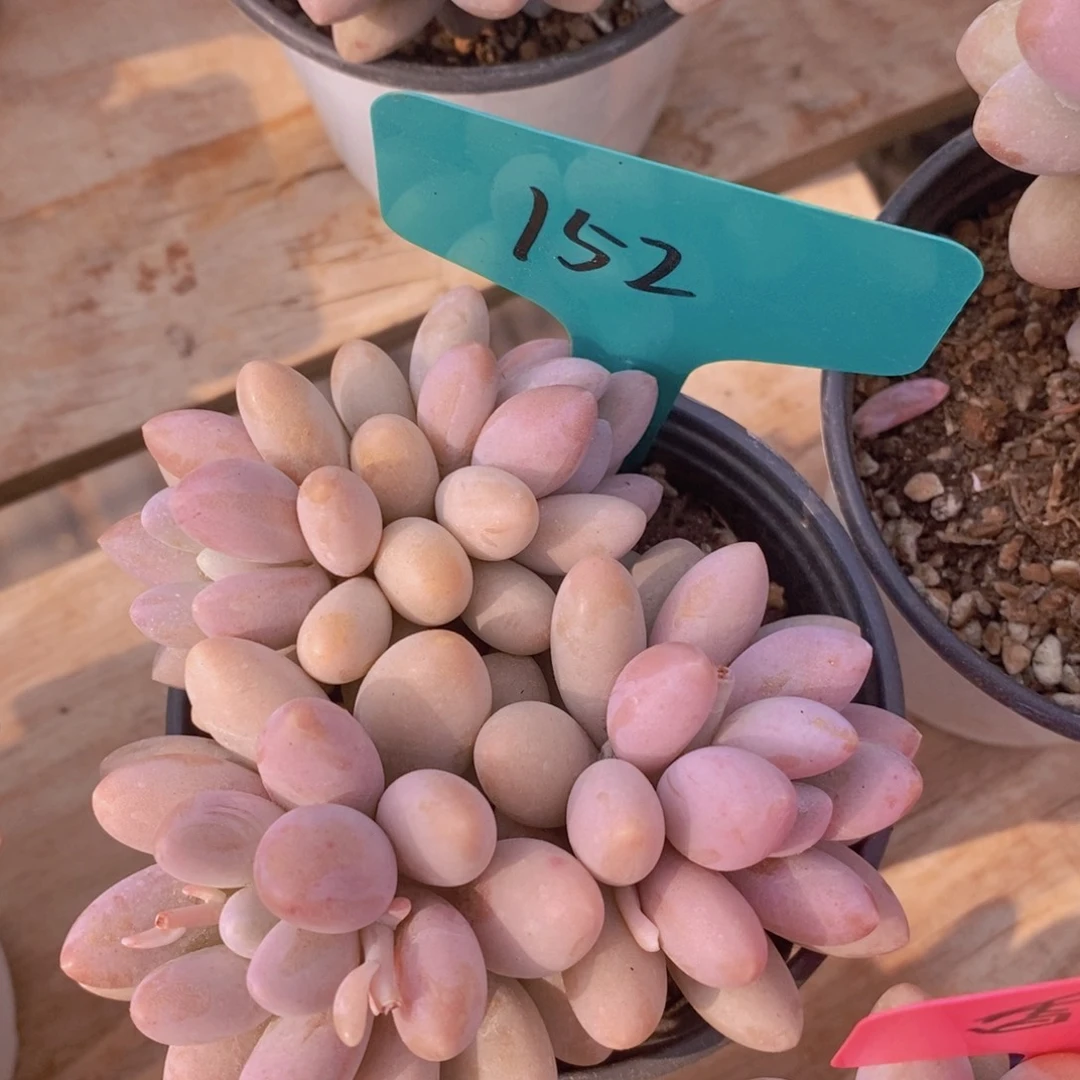 周末愉快，一单包邮