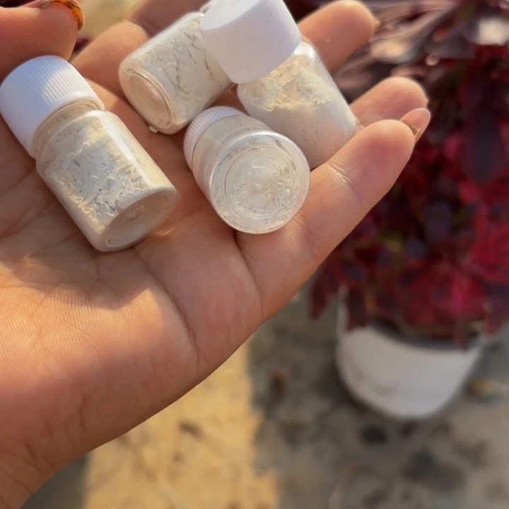 瑞妈多肉植物4瓶包邮