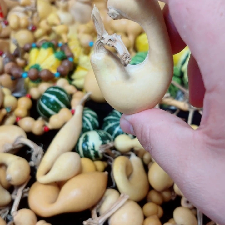 .*蜗牛腰杆的设计与使用第