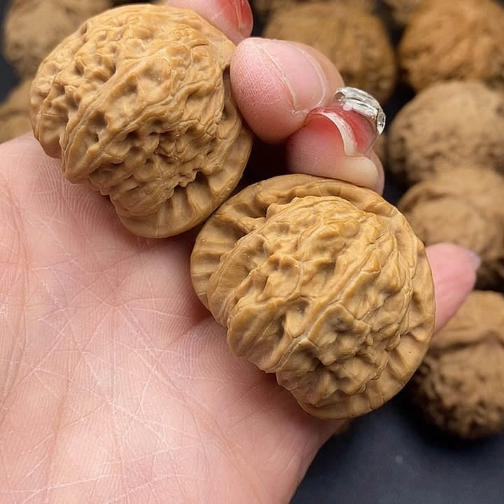 大叶紫檀（黑酸枝木类）角白40