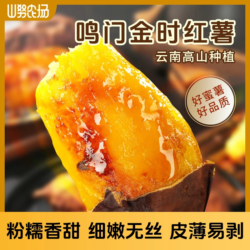 【顺丰&京东】山努鸣门金时红薯云南高山地瓜烤红薯香甜细腻软糯