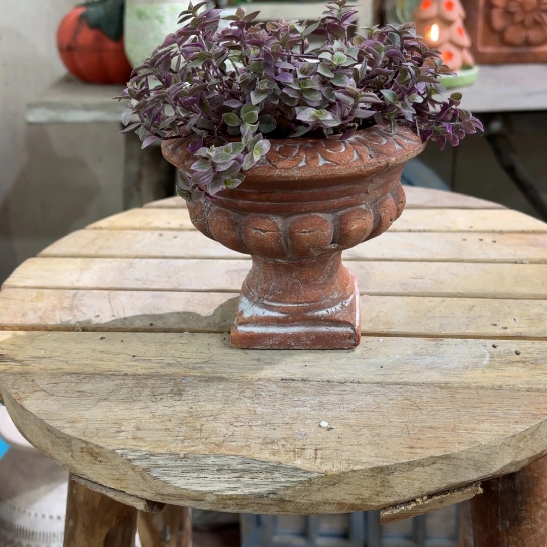 许纯的花房 复古色小奖杯