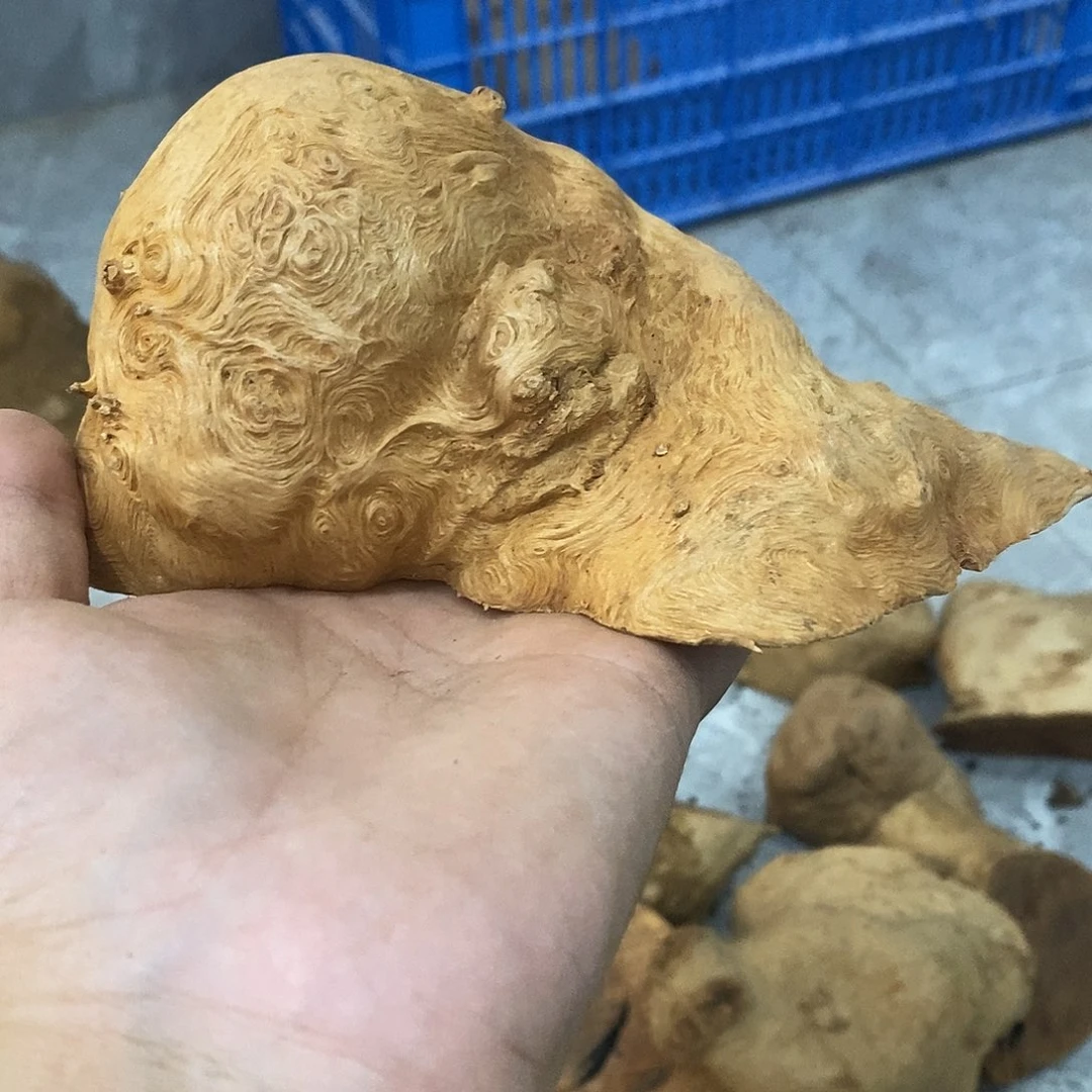钢***男荔枝木荔枝木原料