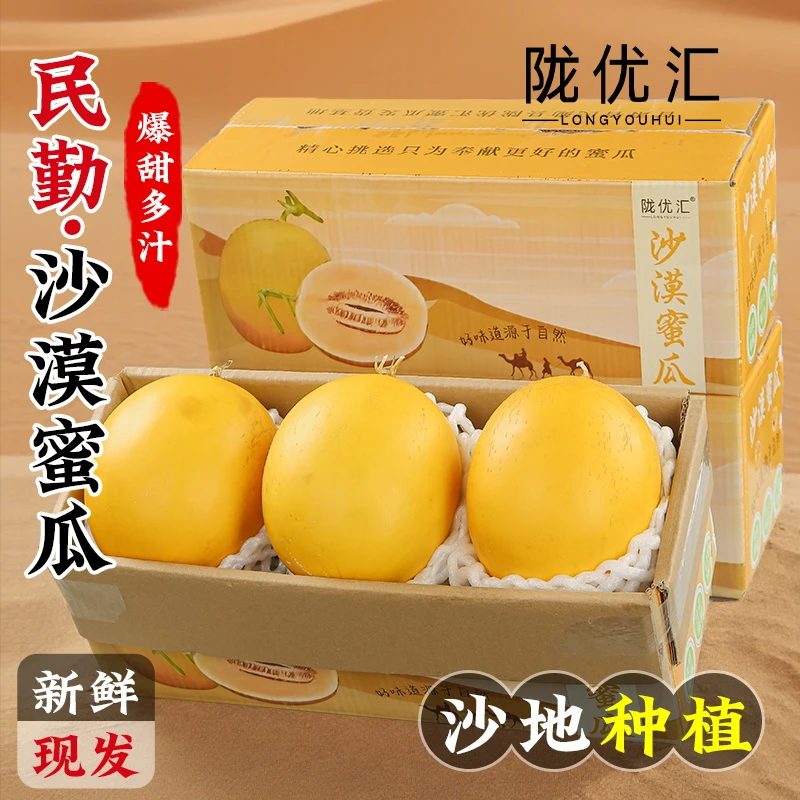 陇优汇正宗民勤沙漠蜜瓜甜瓜金红宝4.5斤带箱8-9斤产地直发果园