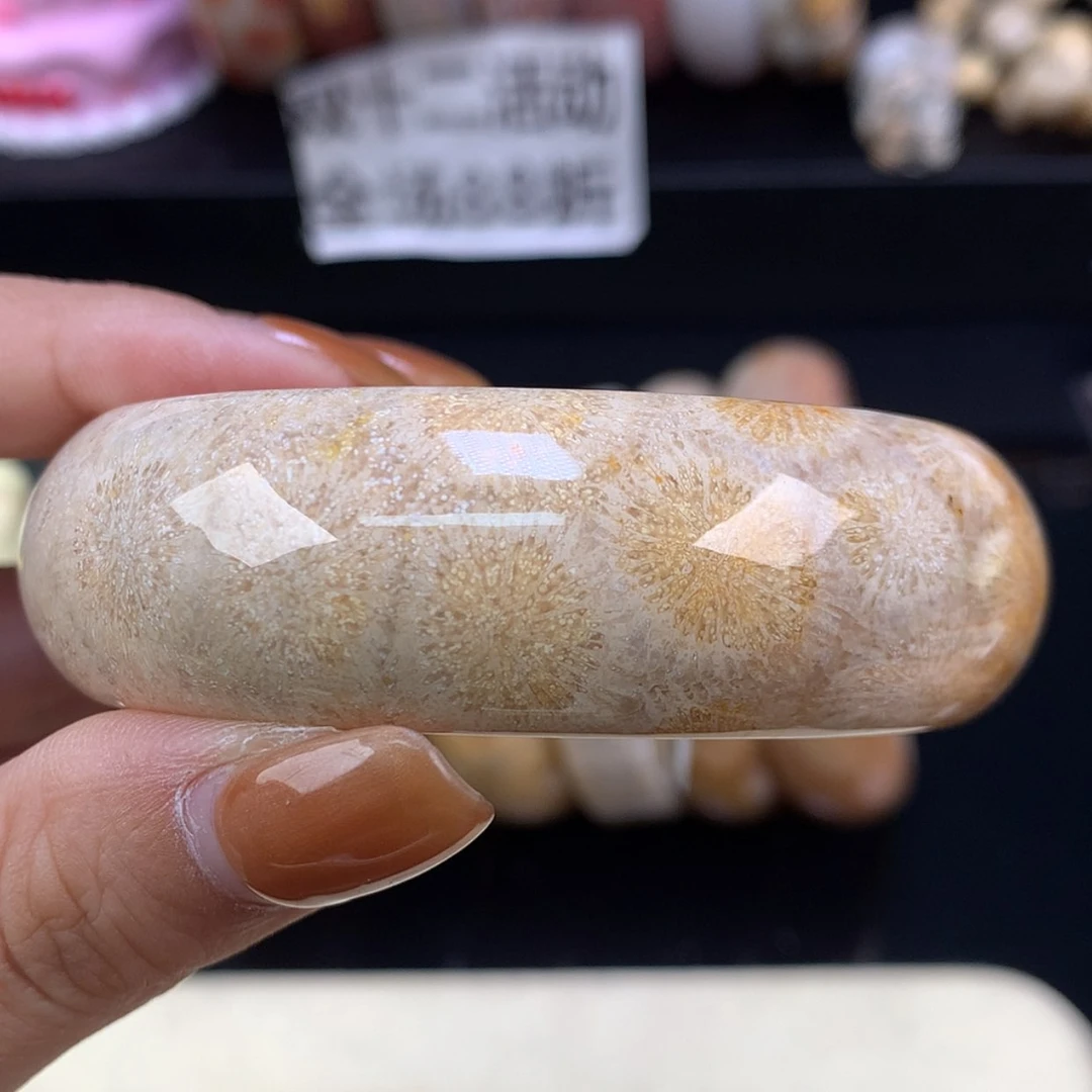 【闪购商品】颈饰未镶嵌硅化珊瑚（珊瑚玉）精美手镯56.3（62号）