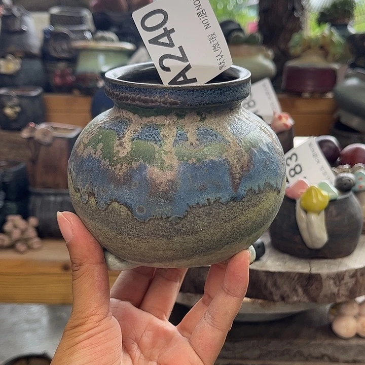 重庆小燕子欢迎大家240