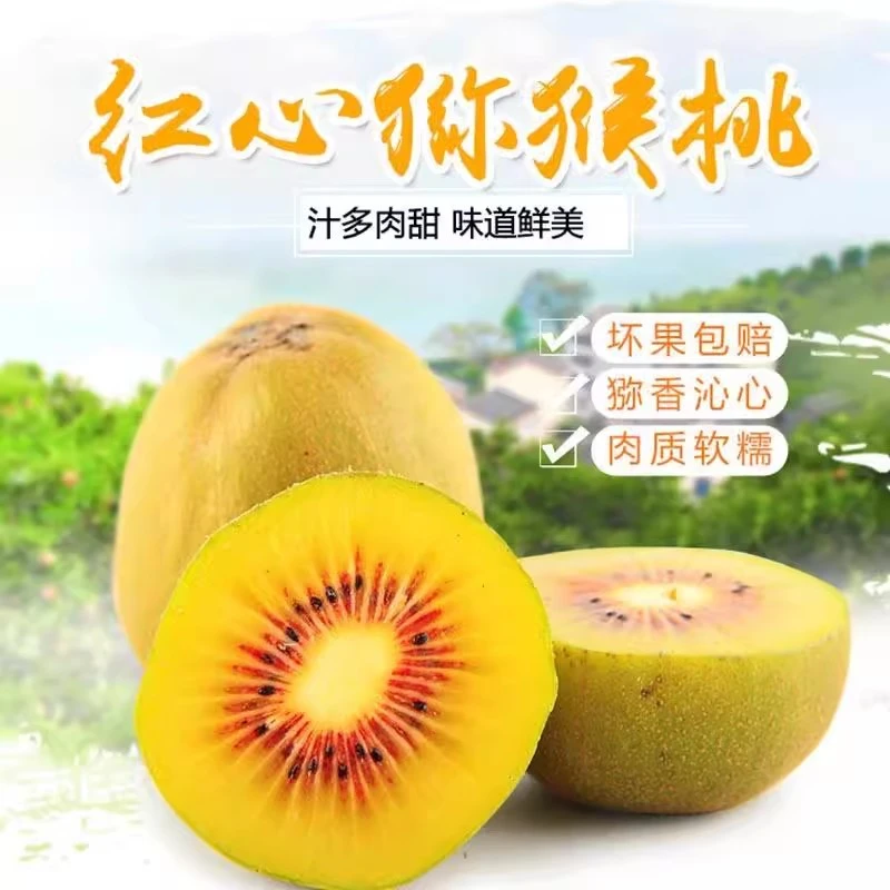 世界红心果发源地 苍溪红心猕猴桃 维C之王  香甜多汁  整箱包邮