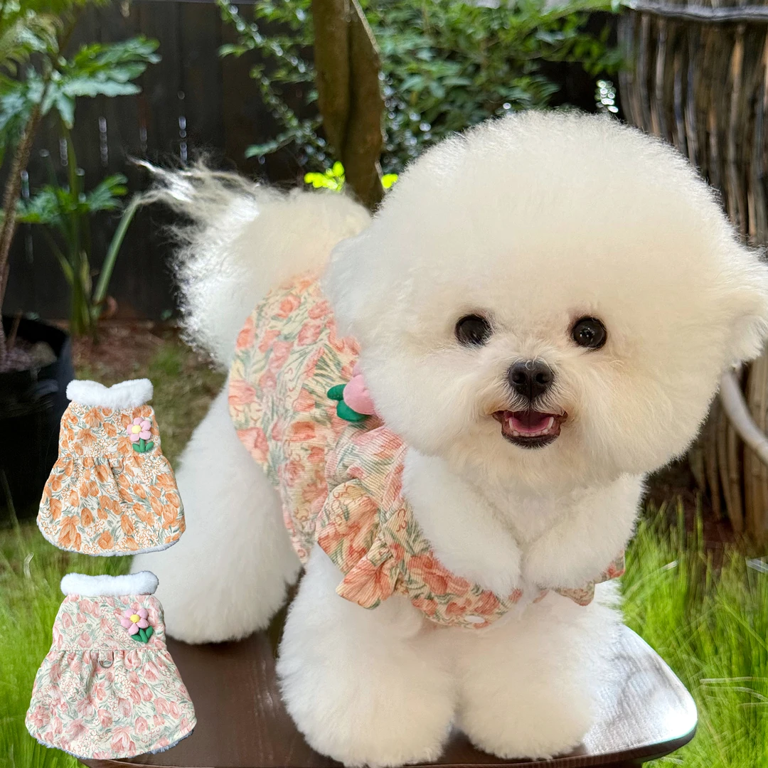 狗狗裙子可牵引秋季新款小型犬猫猫咪比熊博美泰迪宠物衣服秋天