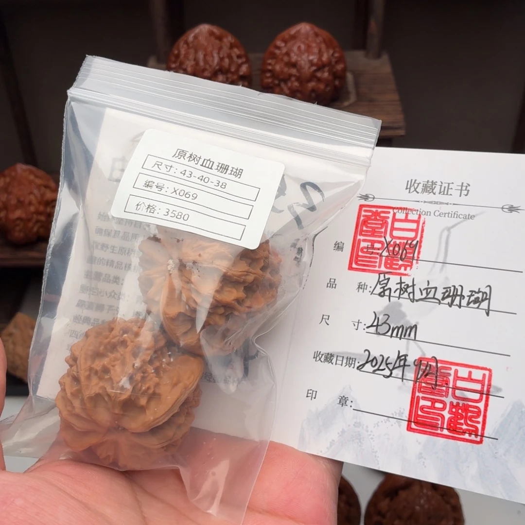 有***劲吊坠文玩核桃原树血珊瑚69号