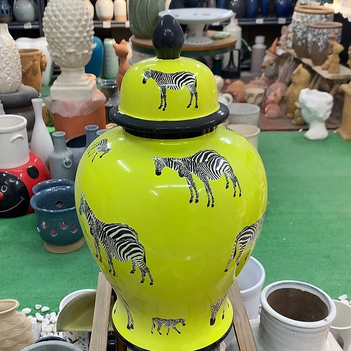 红陶高40宽23口9