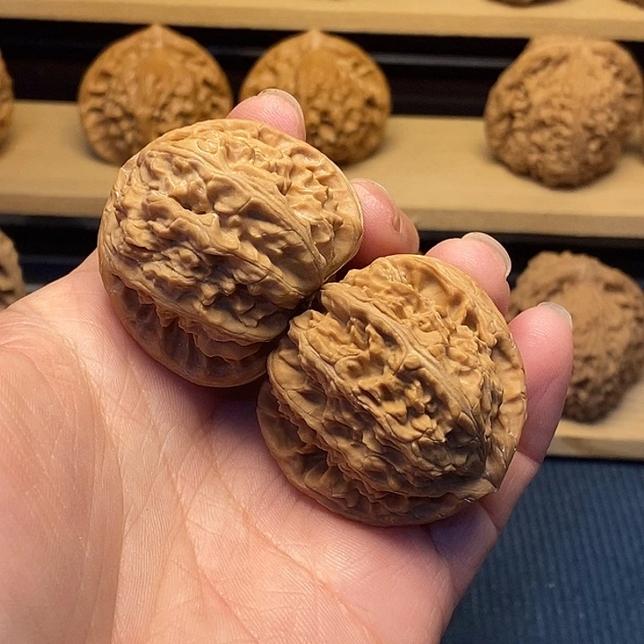 大***鵬核桃41三角白福利