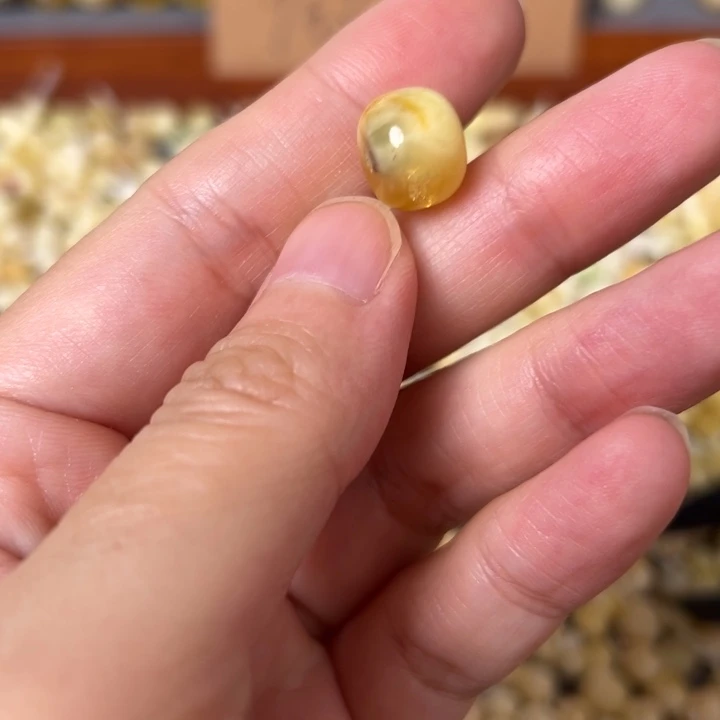 蜜蜡未镶嵌裸石11.6mm一个