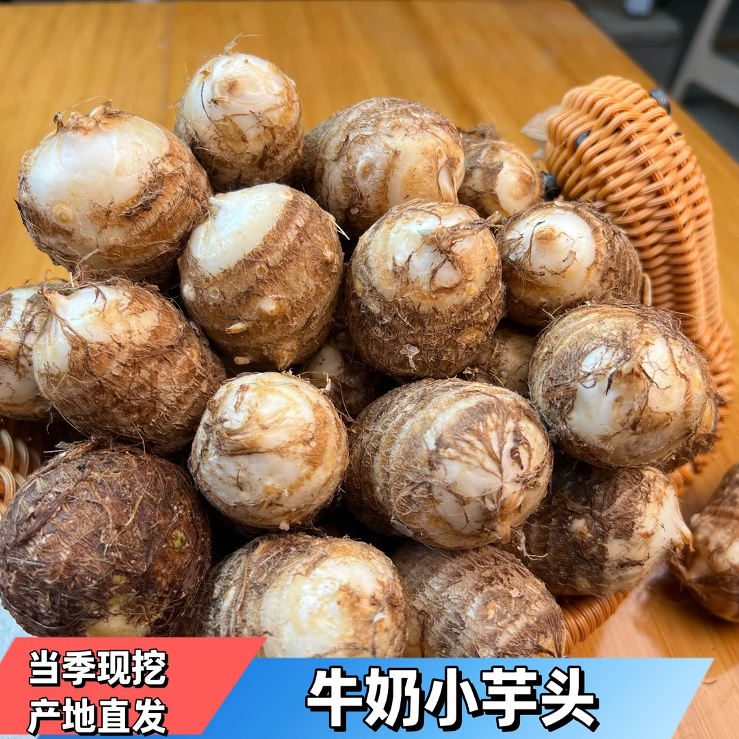 山东牛奶小芋头香糯粉滑香芋产地直发当季现挖
