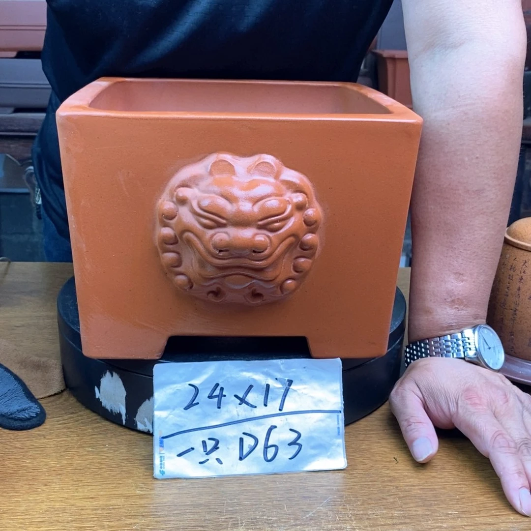 紫砂货号一只D63