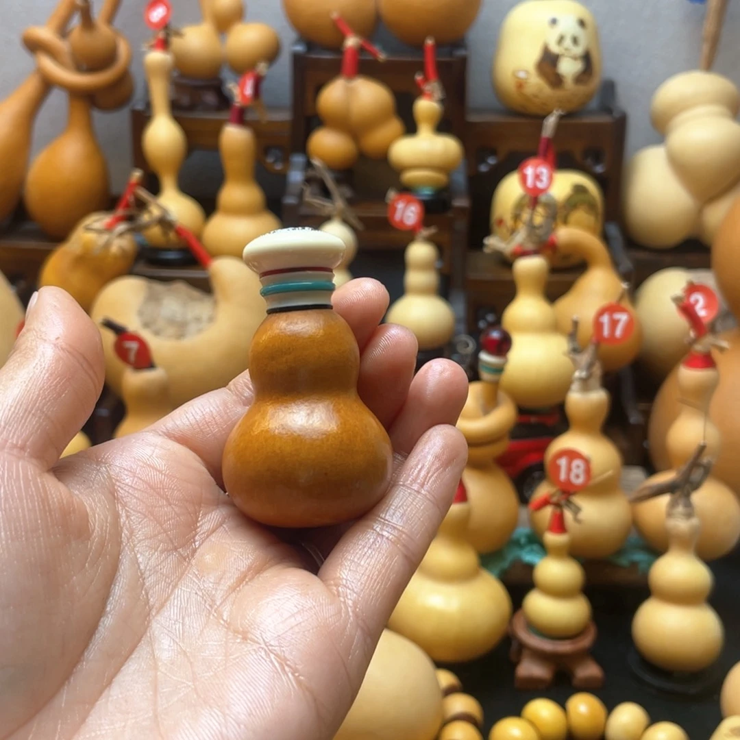 燕*大自然的秘密第十一节你是