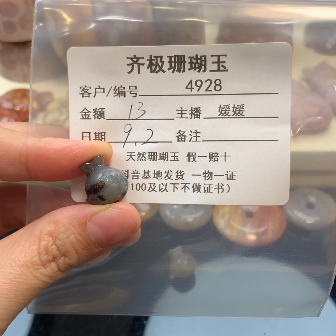 颈饰未镶嵌硅化珊瑚（珊瑚玉）五*