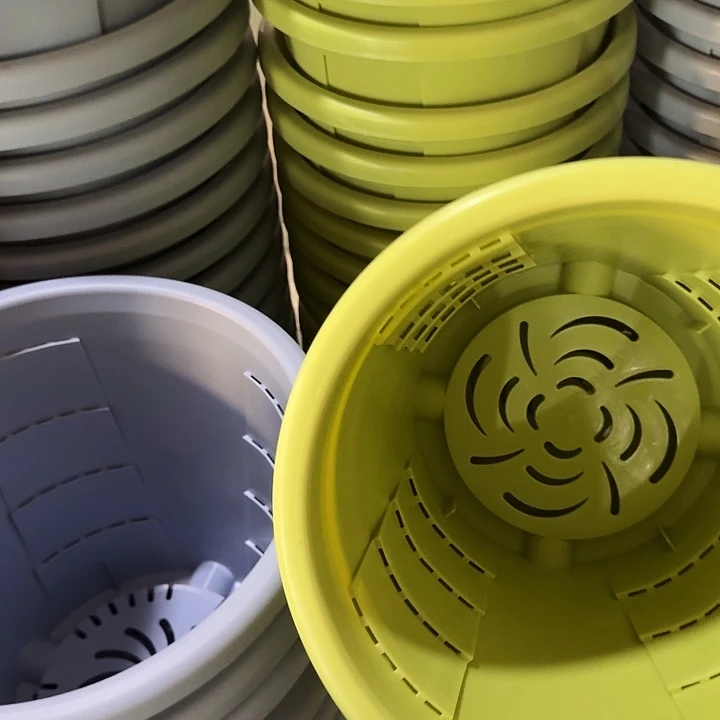 测29口径4个无托果绿