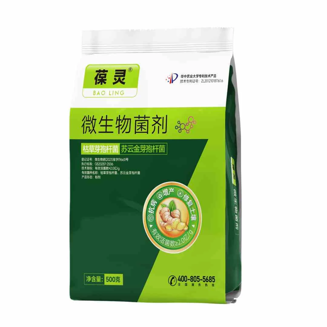 葆灵微生物菌剂大姜根腐病软腐病茎基腐病死苗烂根