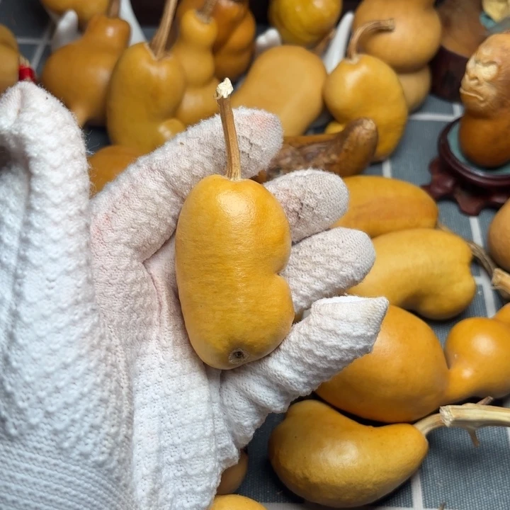 我***爸葫芦风裂666666666