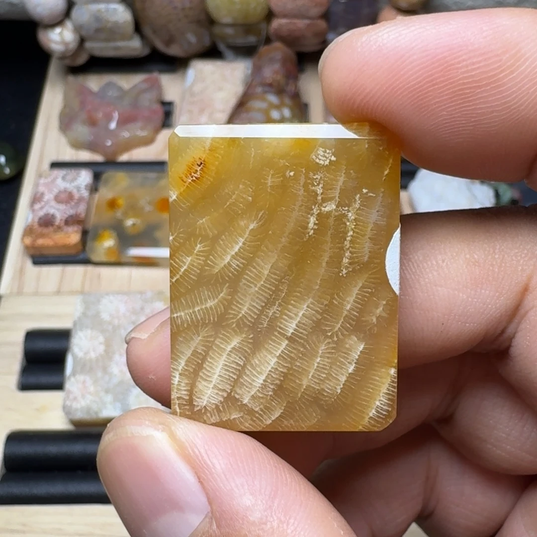 硅化玉未镶嵌纯天然色有机玉石保真色