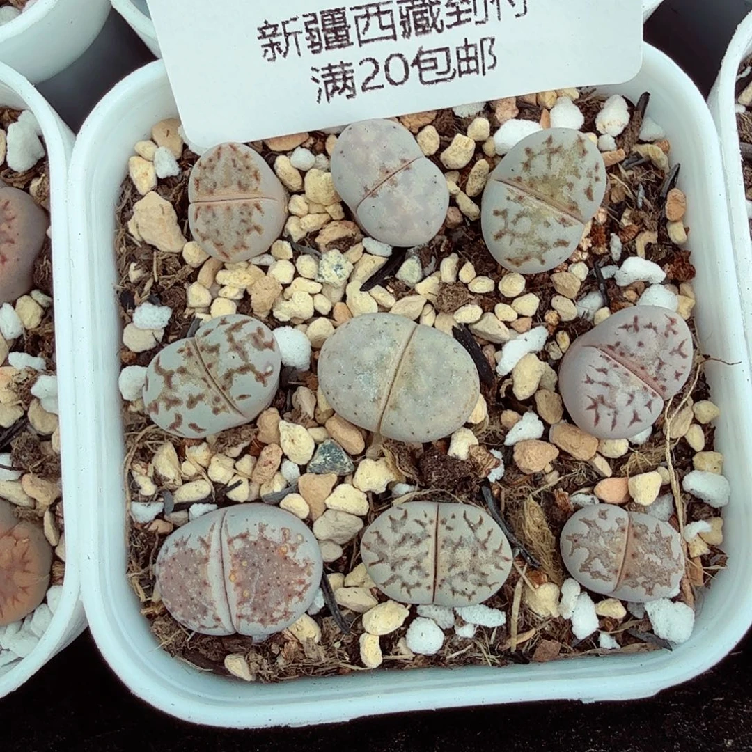 哈哈这才刚看到这142