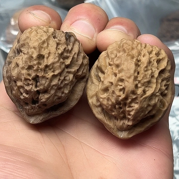 把件文玩核桃52号狂野蟾修尖42尺