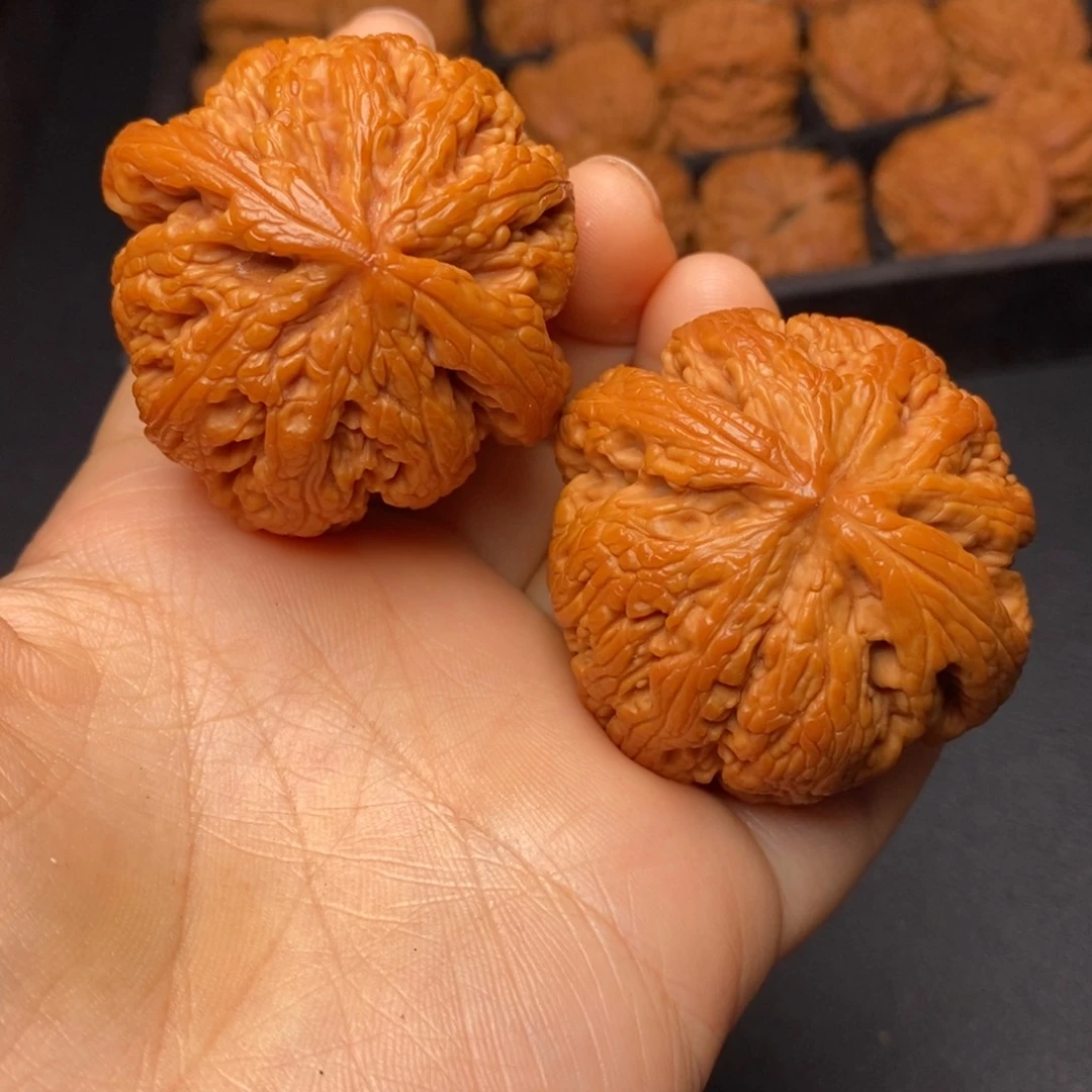 秦岭野生文玩核桃