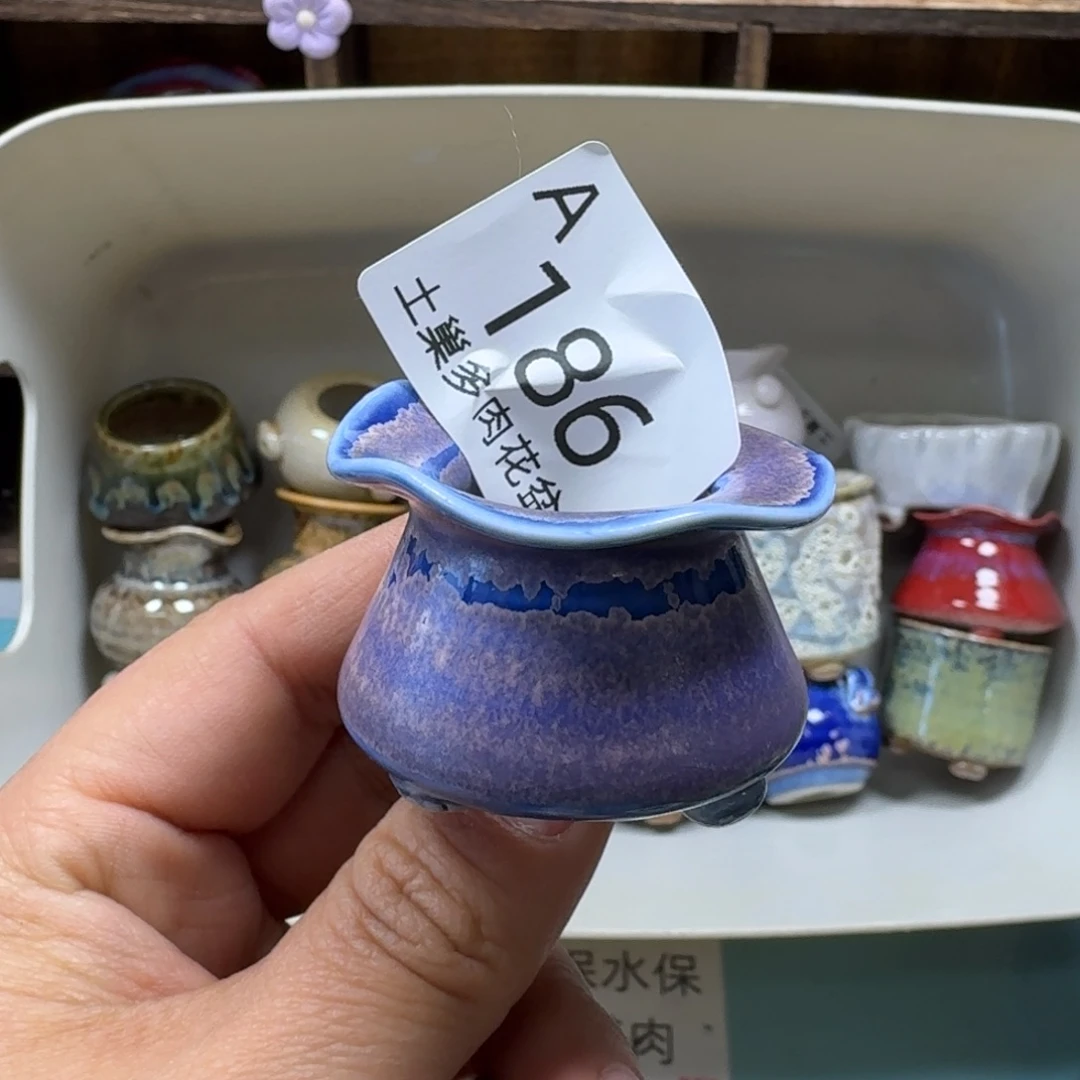 ****e陶瓷艺术品设计与制作