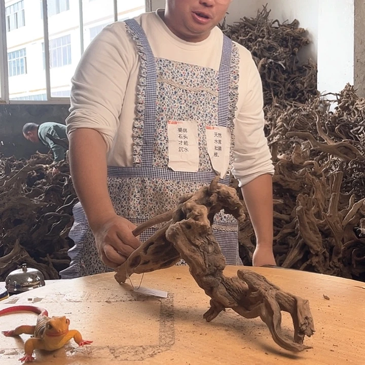 木581520 鱼缸造景根雕艺术27