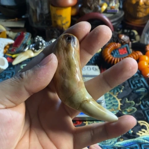 瓷片寻呼台的人也太少见啦