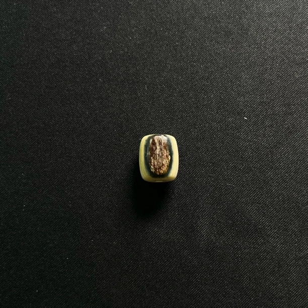 PT62415 蓝眼桶珠 只做天然猛犸牙