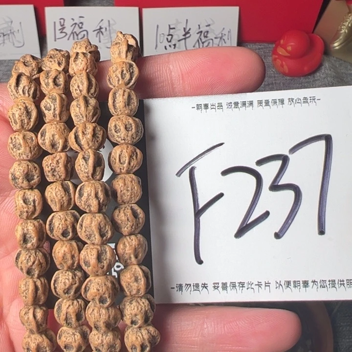 手串柏香籽/百香籽F237