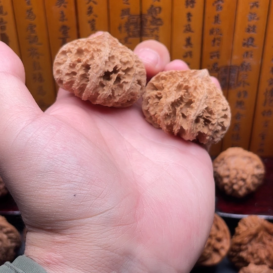 文玩核桃吊坠秦岭野生矮桩大刺菊花灯笼