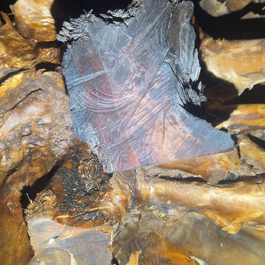 楠木℡****?11112221112