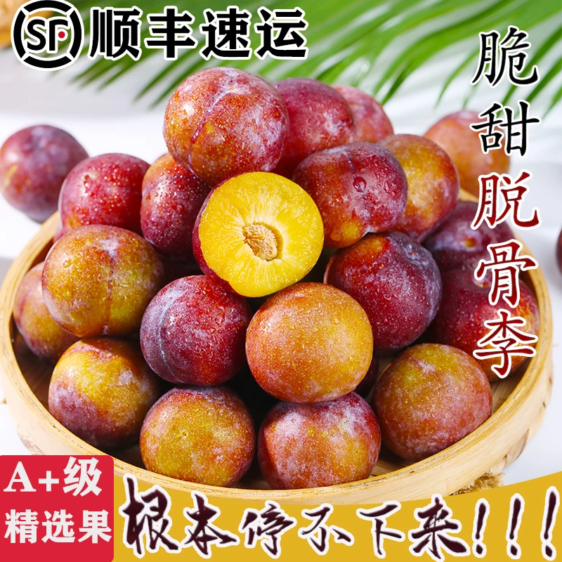 顺丰包邮正宗四川脆红李小翠红青脆脱骨李应当季孕妇李子新鲜大果