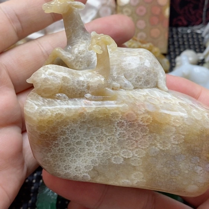 硅化珊瑚（珊瑚玉）颈饰未镶嵌