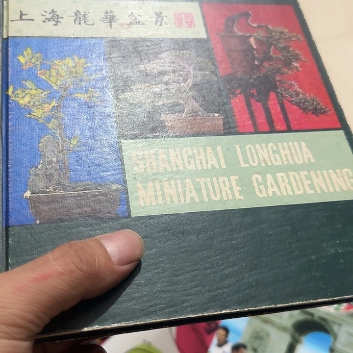 橄榄核其他啊*Gfgfgfgfgfgfgf