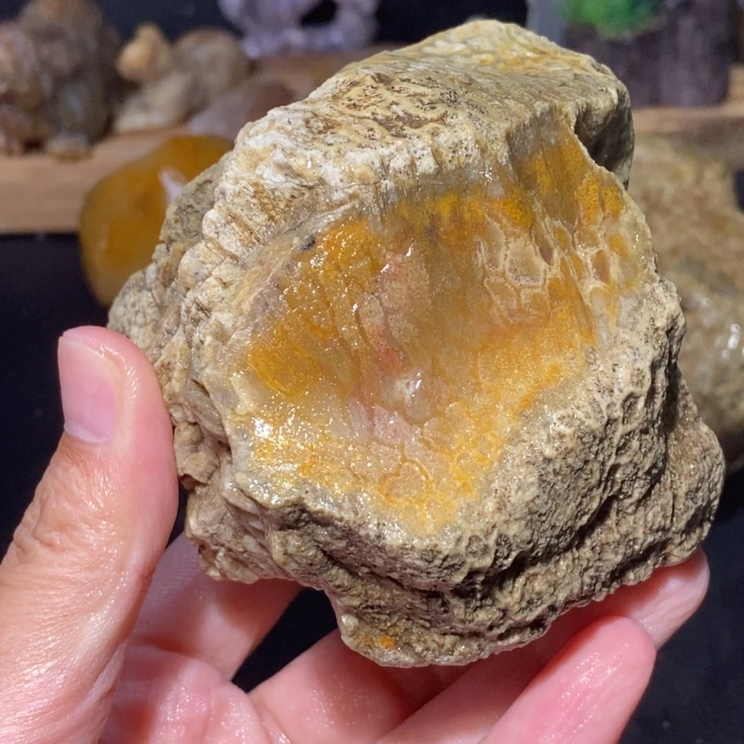 【闪购商品】硅化玉颈饰未镶嵌雯***姐