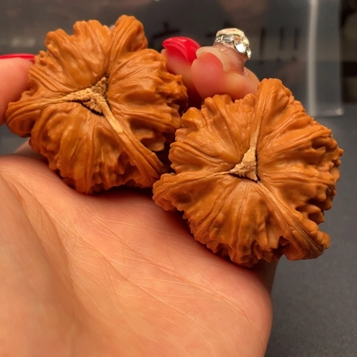 玉***树文玩核桃吊坠白狮子