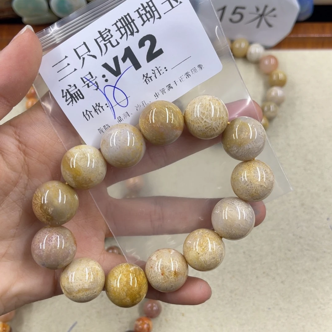 九***家硅化珊瑚（珊瑚玉）h未镶嵌