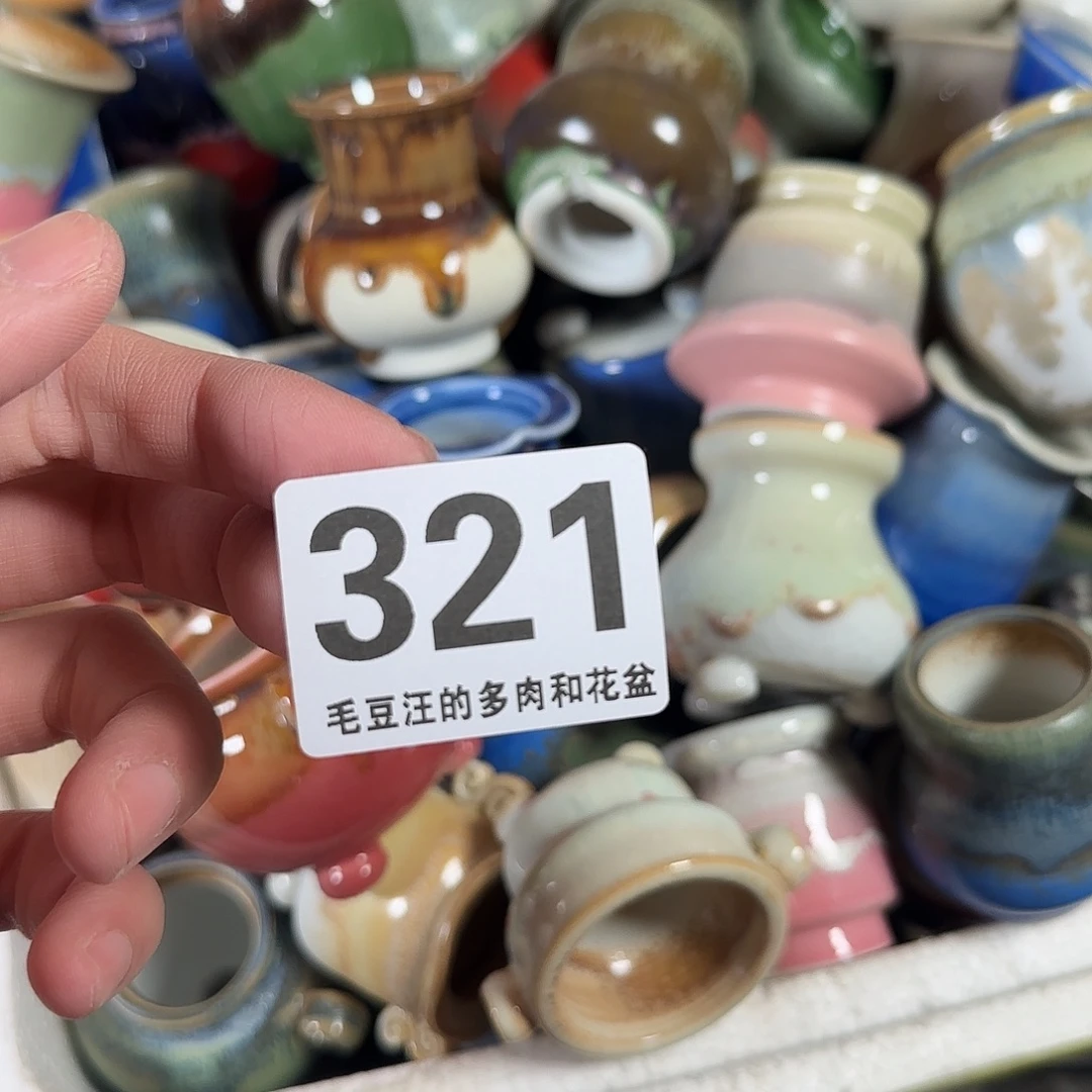 321 瑕疵特惠 六只盆 no退no换