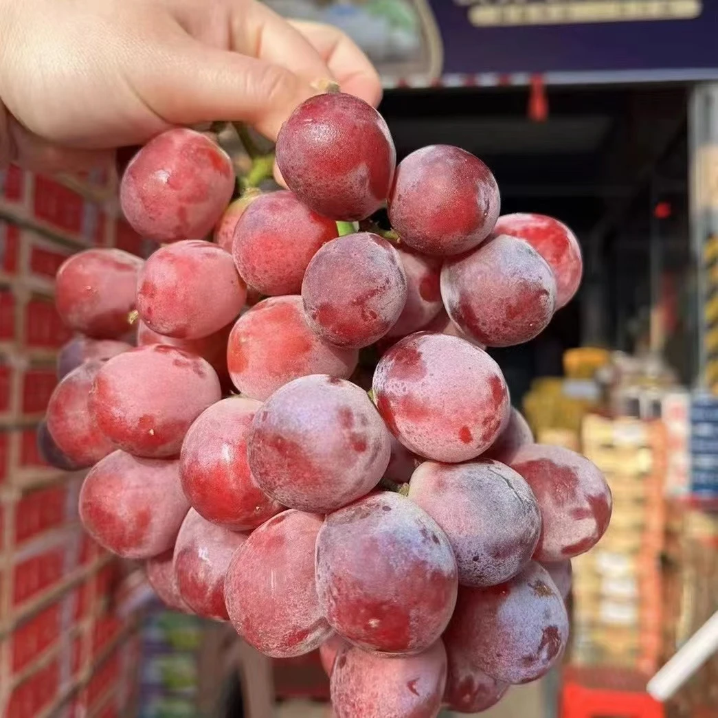 【红提葡萄】葡萄（箱/3.5-4斤）1-3串酸甜口感