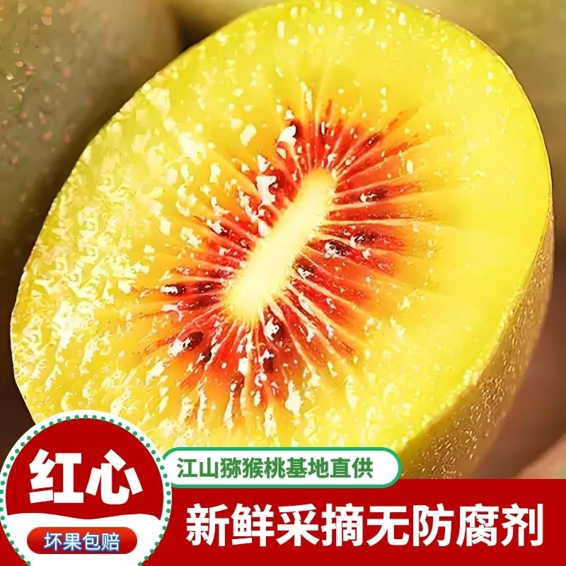 【红心猕猴桃】正宗江山猕猴桃红阳红心新鲜采摘水果清甜多汁