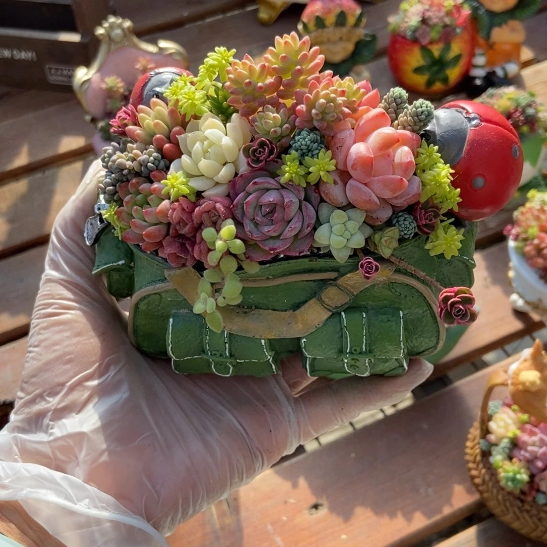 绿色包包成品带植物发货