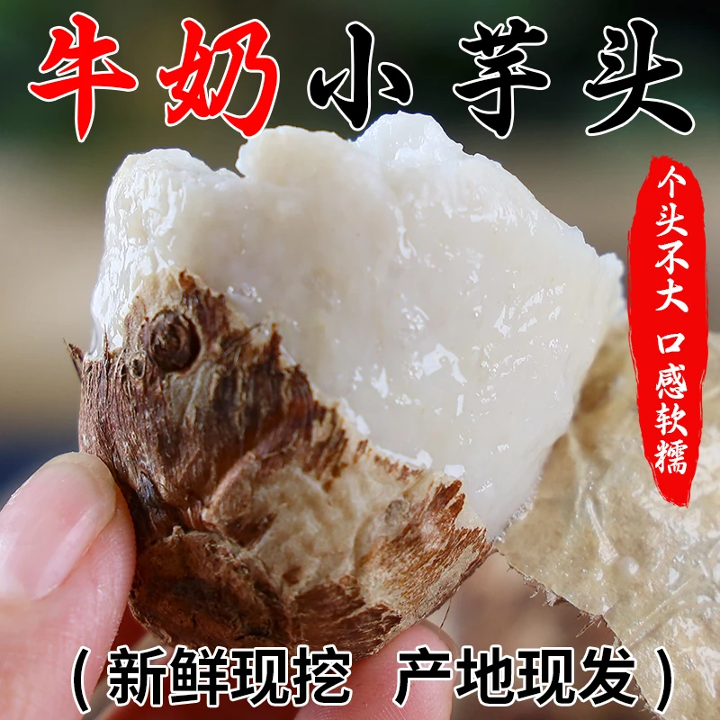 【农家自种】云南高原牛奶小芋头毛芋头软糯香甜香芋当季蔬菜芋艿