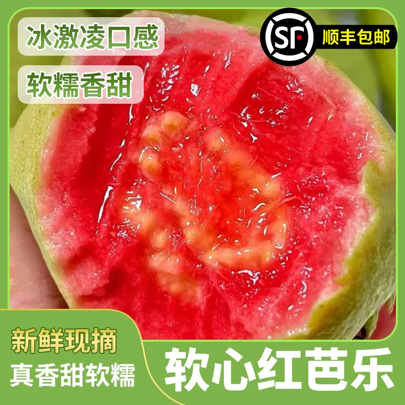 软糯（顺丰包邮）奶油软芭乐红心白心多汁低糖高VC坏果包赔产地直发