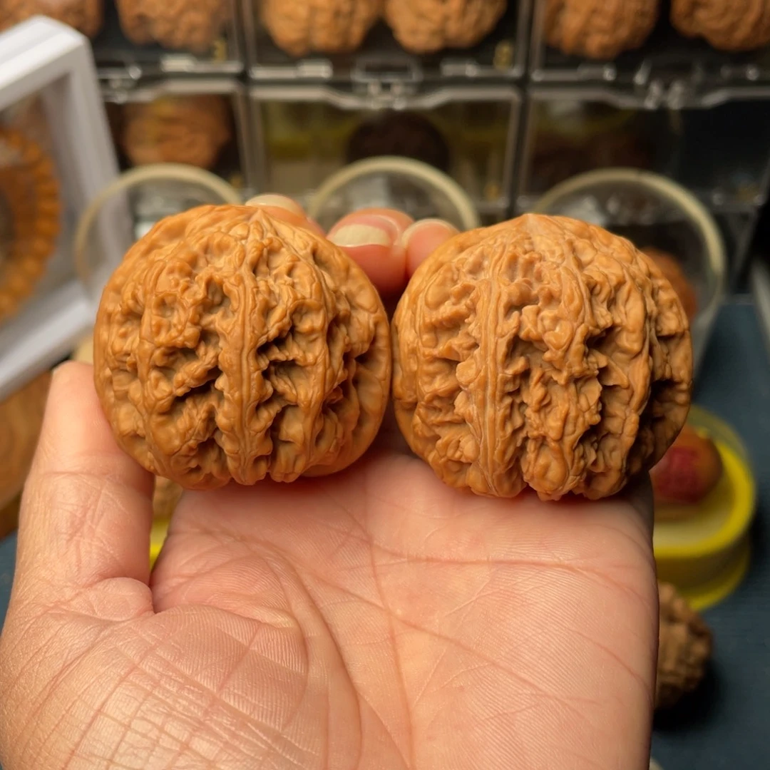 文玩核桃把件46+大粗筋