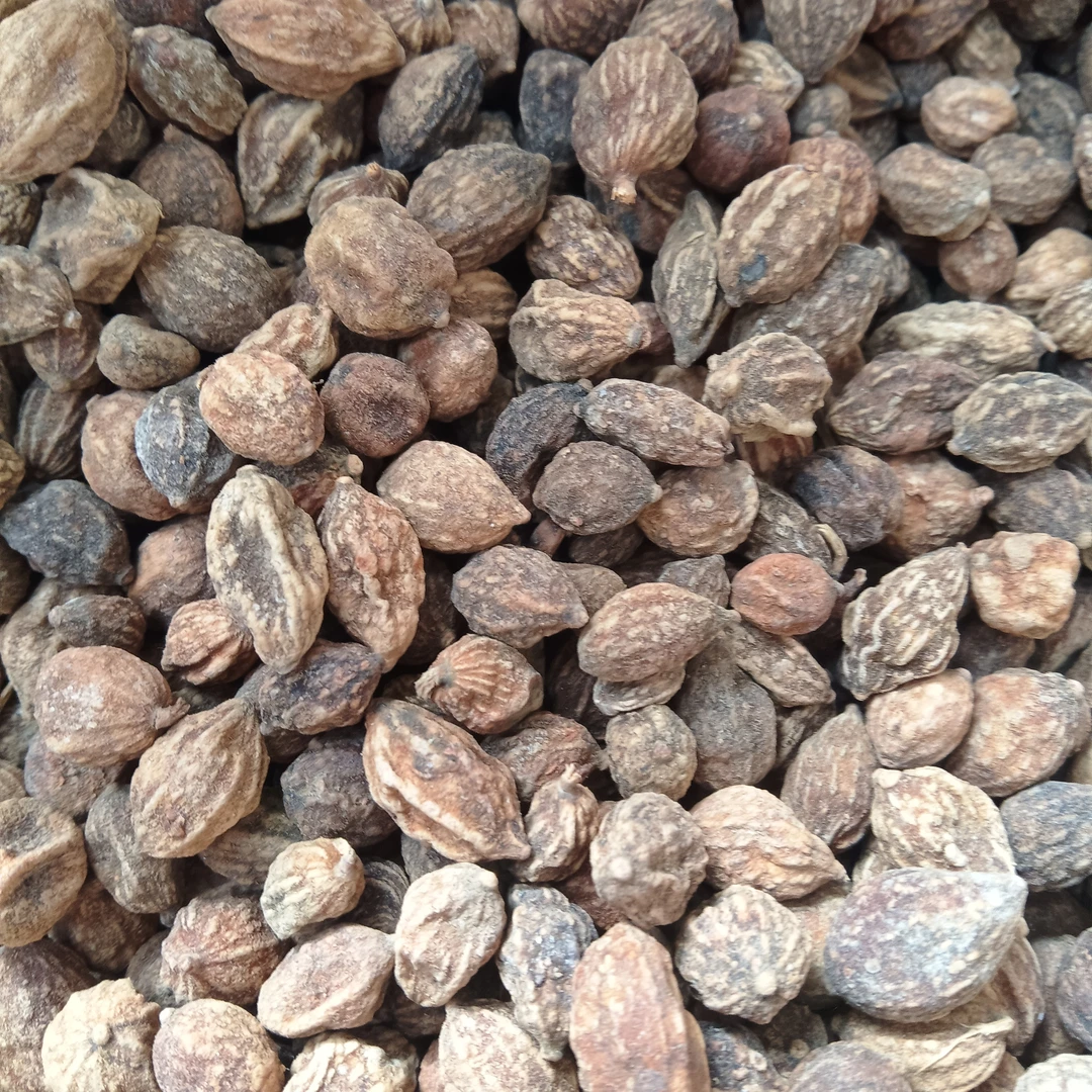 云蕾精选【誉智果】云南干货